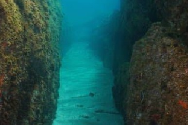 В Приморском крае открыли первую экотропу под водой